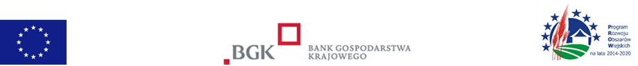 kredyt bgk